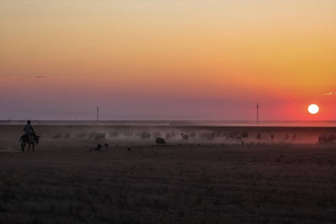Kavurucu sıcaklar Tuz Gölü'nü kızarttı! Bakteriler cirit atıyor 6